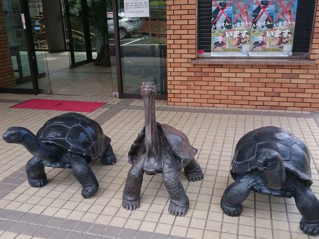 �G���g�����X_�̊��^������ iZoo