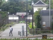 `[k񂁂KXp[񂳂̐̓eʐ^1