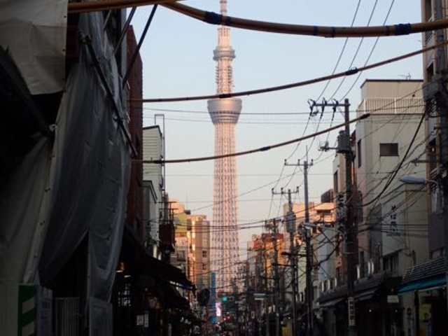 �X�J�C�c���[�������܂�_�����ϋ��{�ʂ�