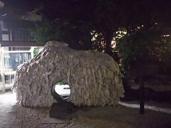 ܂[񂳂̈䗅{ւ̓eʐ^1