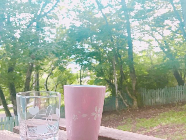 �}�C�J�b�v���X�̌i�F�ɉf���܂��ȁ`(*^_^*)_�Ȃ��̂���