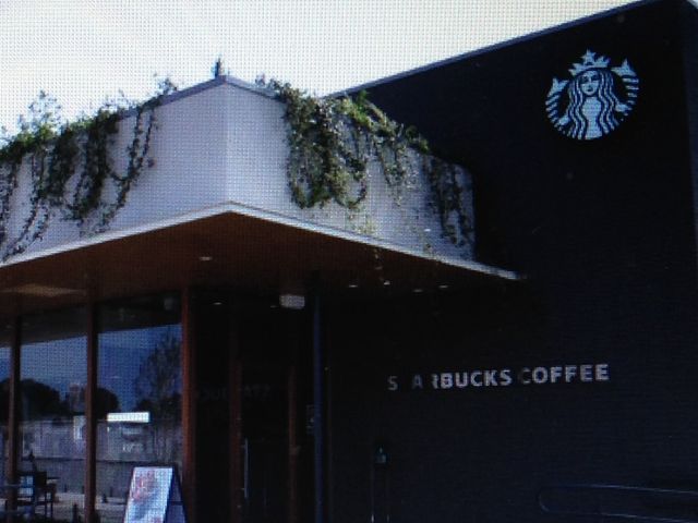 �X�^�[�o�b�N�X_��q�ʐ����