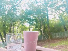 �Ȃ��̂��Ȃ̎ʐ^1