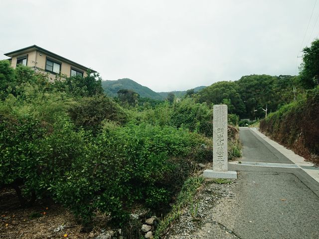 ����̂�������̖򉤎��̓��e�ʐ^1