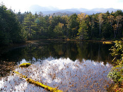 himaraya̋rւ̓eʐ^1