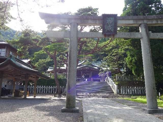 ����_���ٔ����{