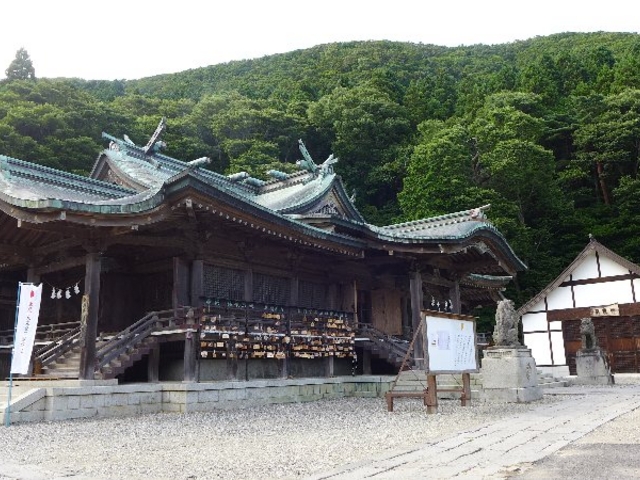 �{�a_���ٔ����{