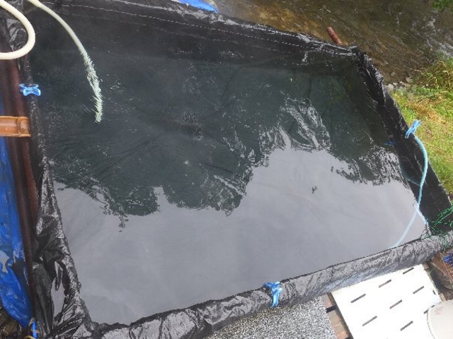 �E�̓�_�{�V������