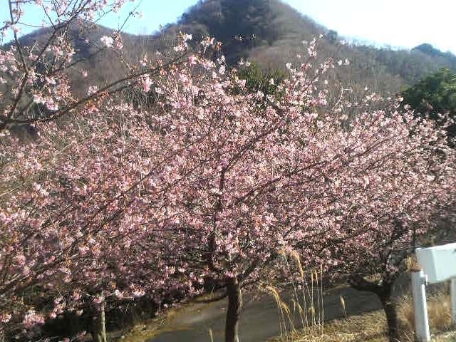 �ɓ�����_�ɓ�����