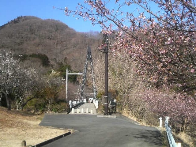 �ɓ�����_�ɓ�����