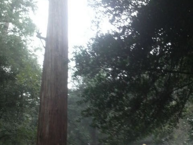 �����{���{�_��_�����{���{�_��