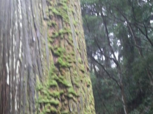 �����{���{�_��_�����{���{�_��