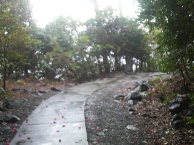 ��P�莩�R�����H_�郖�莩�R�����H