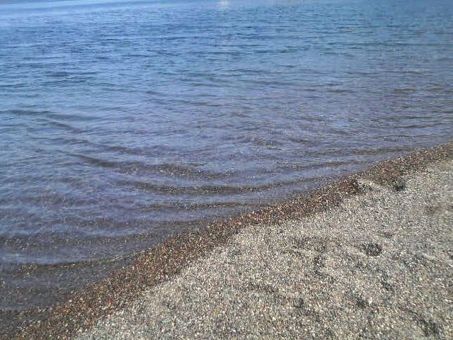 ��ނ��邩�l����_��ނ��邩�l����