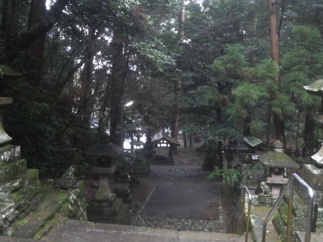 Ƃ񂳂̗{_Ђ̎Бp̓eʐ^4