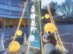 usa����̏�쐸�{���ւ̓��e�ʐ^1