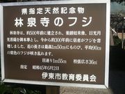 Ƃ񂳂̗ѐ򎛂̃tW̓eʐ^3