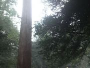 Ƃ񂳂̔{{_Ђ̓eʐ^4