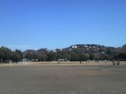 Ƃ񂳂̈ɓsOEhiRj̓eʐ^1