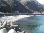 ���Ƃ��񂳂�̐�ފC������̓��e�ʐ^1