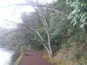 Ƃ񂳂̈Ɍ΂̍̓eʐ^1