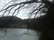 Ƃ񂳂̈Ɍ΂̍̓eʐ^2