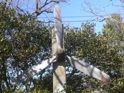 Ƃ񂳂̏Rԗ쓃̓eʐ^3