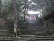 Ƃ񂳂̗{_Ђ̎Бp̓eʐ^2