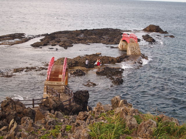 �������Ə���_�����