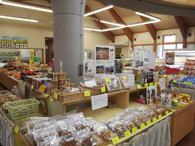 vU_̉w@悱͂܍؂̉ԃvU