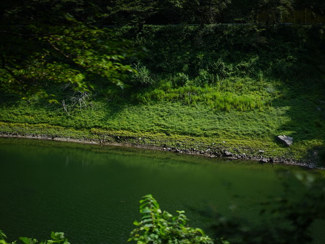 H猩_łB
ΔȂ̗΂łB__