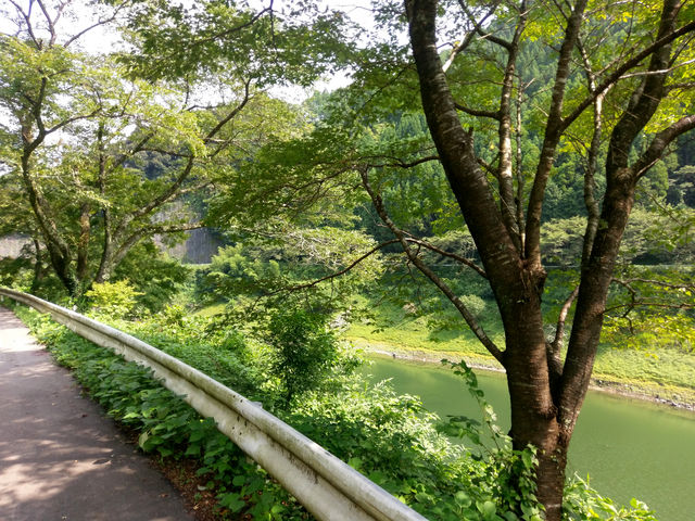 H猩_łB
ΔȂ̗΂łB__