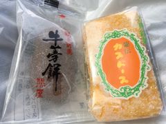 poporoňΌV܂ւ̓eʐ^1