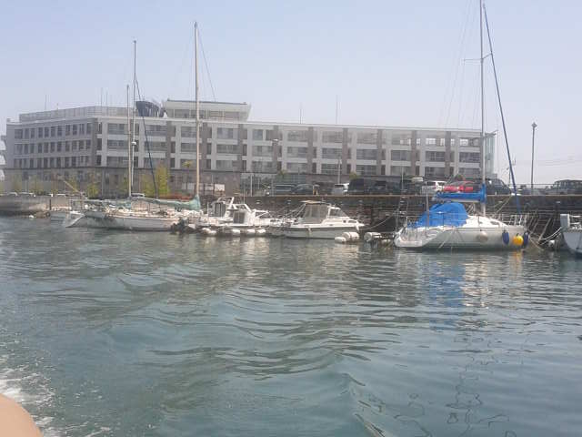 N[YD猩铿̒́A܂ʂĈې[łB_Ђ傤񓇃N[Y