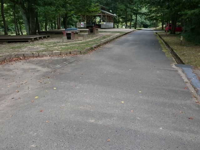 ̂̓yt_t@~[Lv̓eʐ^1