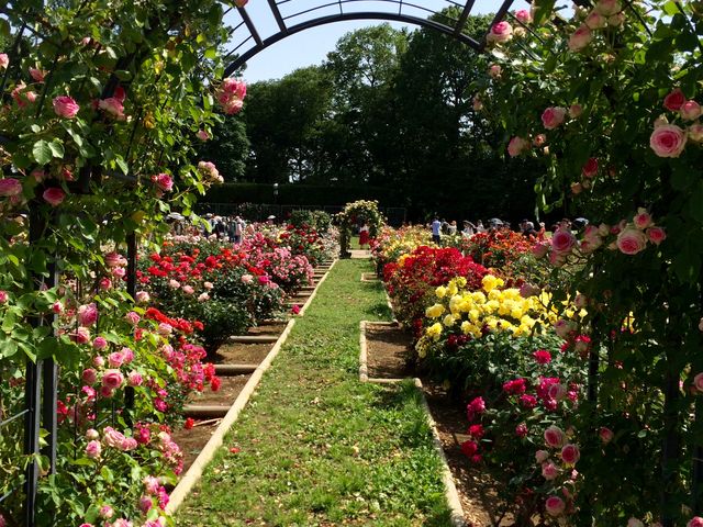 �o�����ւ̓���_�s���_��A������