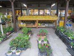 ��������񂳂�̂܂��̉w �V�����h�ւ̓��e�ʐ^1