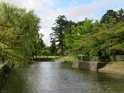 yosshy̒߃隬̓eʐ^1