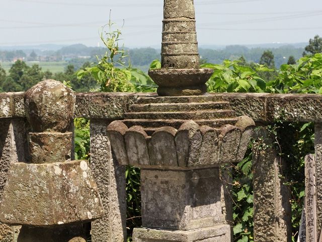 Yanwenli̓ߐ{̓eʐ^5