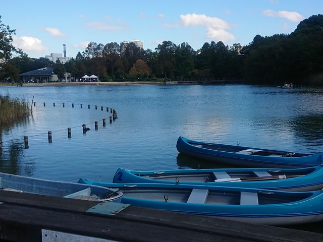 �{�[�g����_��t�������̗t����