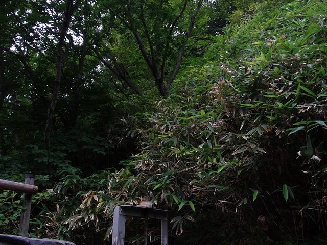 ���R�ƈ�̊��������邱�Ƃ��ł��܂��B_��ۉ���