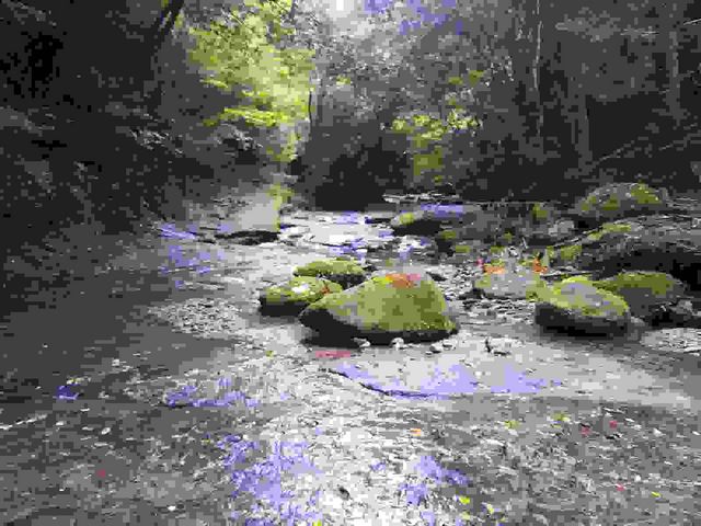 大谷渓谷】アクセス・営業時間・料金情報 - じゃらんnet