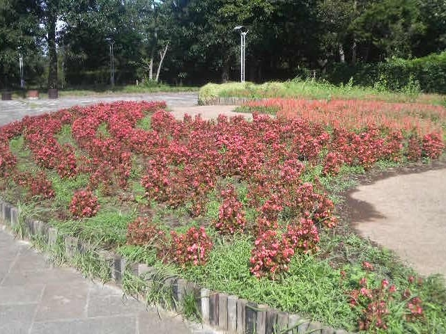 �_�ސ쌧�����P�藢�R����_�_�ސ쌧�����P�藢�R����