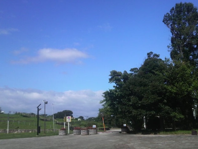 �_�ސ쌧�����P�藢�R����_�_�ސ쌧�����P�藢�R����