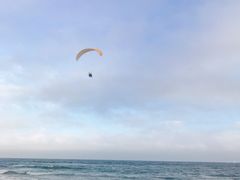 񂲂̏MCpOC_[̌ւ̓eʐ^1