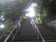 Ƃ񂳂̑剪ƈꑰ̓̕eʐ^1