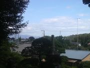 Ƃ񂳂̑剪ƈꑰ̓̕eʐ^3