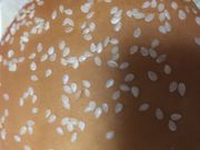 }񂳂̃}Nhih(McDonaldfs) CI[VX̓eʐ^1