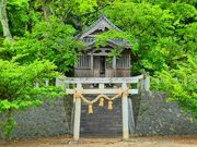 �}�b�N����̌b���{�P�@���D���Ղ̓��e�ʐ^19