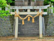 �}�b�N����̌b���{�P�@���D���Ղ̓��e�ʐ^20